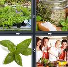 4 Pics 1 Word answers and cheats level 1022
