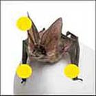 100 Pics answers and cheats level 1-50