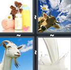 4 Pics 1 Word answers and cheats level 517