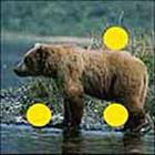 100 Pics answers and cheats level 1-50