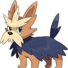 iGuess for Pokemon answers and cheats level 50