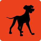 Shadow Quiz answers and cheats level 166