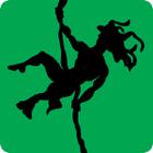 Shadow Quiz answers and cheats level 330