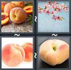4 Pics 1 Word answers and cheats level 2029