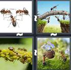 4 Pics 1 Word answers and cheats level 1421
