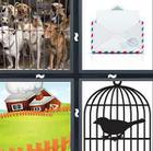 4 Pics 1 Word answers and cheats level 558