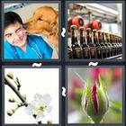 4 Pics 1 Word answers and cheats level 3433