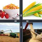 4 Pics 1 Word answers and cheats level 1226