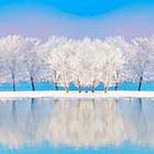100 Pics answers and cheats level 51-100