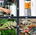 4 Pics 1 Word answers and cheats level 647