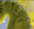 Zoomed In answers and cheats level 141-150