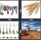 4 Pics 1 Word answers and cheats level 2519