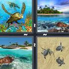 4 Pics 1 Word answers and cheats level 1352