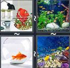 4 Pics 1 Word answers and cheats level 2417