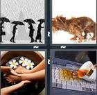 4 Pics 1 Word answers and cheats level 1088