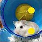 100 Pics answers and cheats level 51-100