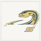 Sports Logos Quiz answers and cheats level 16-9