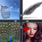4 Pics 1 Word answers and cheats level 1285