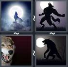 4 Pics 1 Word answers and cheats level 2019