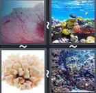 4 Pics 1 Word answers and cheats level 2432