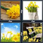 4 Pics 1 Word answers and cheats level 2331