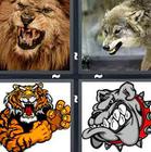 4 Pics 1 Word answers and cheats level 1316