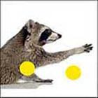 100 Pics answers and cheats level 1-50