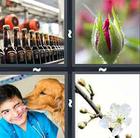 4 Pics 1 Word answers and cheats level 971