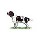 100 Pics answers and cheats level 1-50