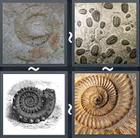 4 Pics 1 Word answers and cheats level 2033