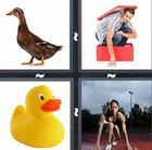 4 Pics 1 Word answers and cheats level 121
