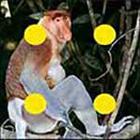 100 Pics answers and cheats level 51-100