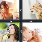 4 Pics 1 Word answers and cheats level 21