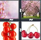 4 Pics 1 Word answers and cheats level 1459