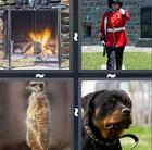 4 Pics 1 Word answers and cheats level 809