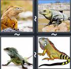 4 Pics 1 Word answers and cheats level 2419