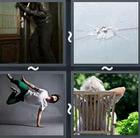 4 Pics 1 Word answers and cheats level 2838