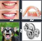 4 Pics 1 Word answers and cheats level 1377