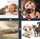 4 Pics 1 Word answers and cheats level 671