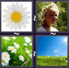 4 Pics 1 Word answers and cheats level 2332