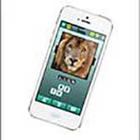 100 Pics answers and cheats level 1-50
