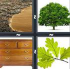 4 Pics 1 Word answers and cheats level 989