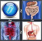 4 Pics 1 Word answers and cheats level 2267