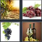 4 Pics 1 Word answers and cheats level 3475