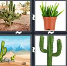 4 Pics 1 Word answers and cheats level 1472