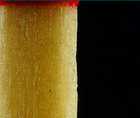 Zoomed In answers and cheats level 141-150