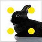 100 Pics answers and cheats level 1-50