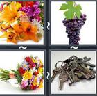 4 Pics 1 Word answers and cheats level 2641
