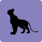 Shadow Quiz answers and cheats level 216