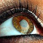 Close Up Pics answers and cheats level 17-9
